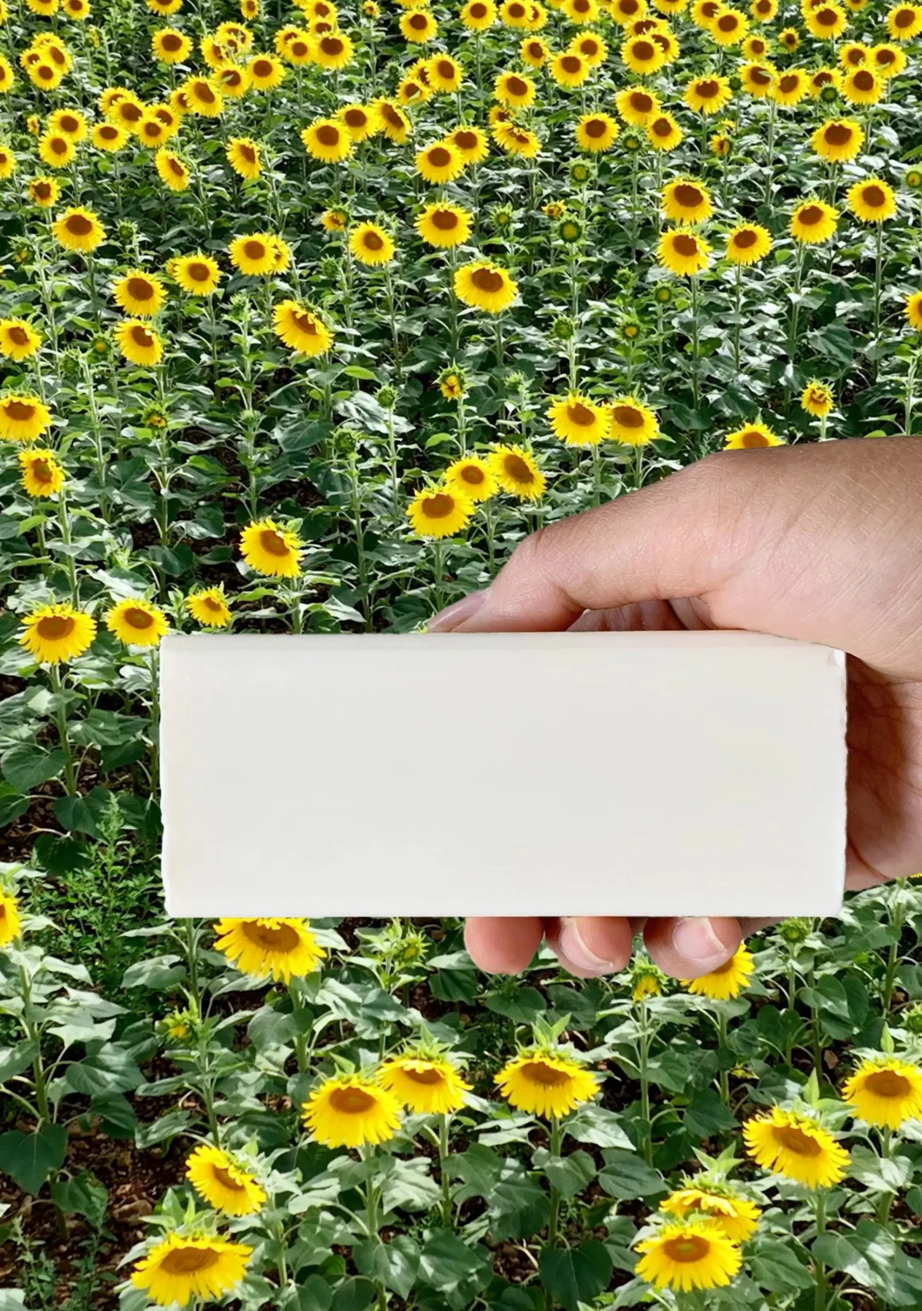 vegan_stain_remover_bar__kind_laundry_3.webp Home & Wellness | Collina Strada Vegan Stain Remover Bar | Kind Laundry